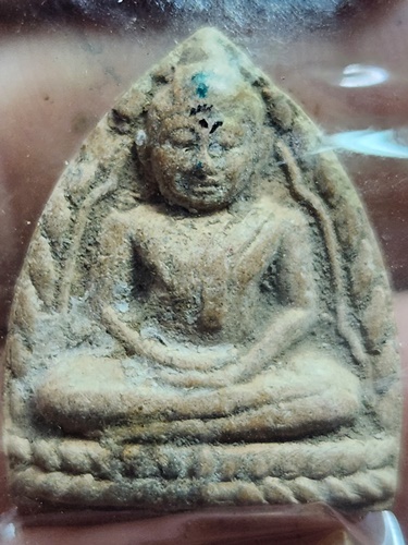 วัดบางกระทิง อยุธยา หลวงพ่อโต  2549