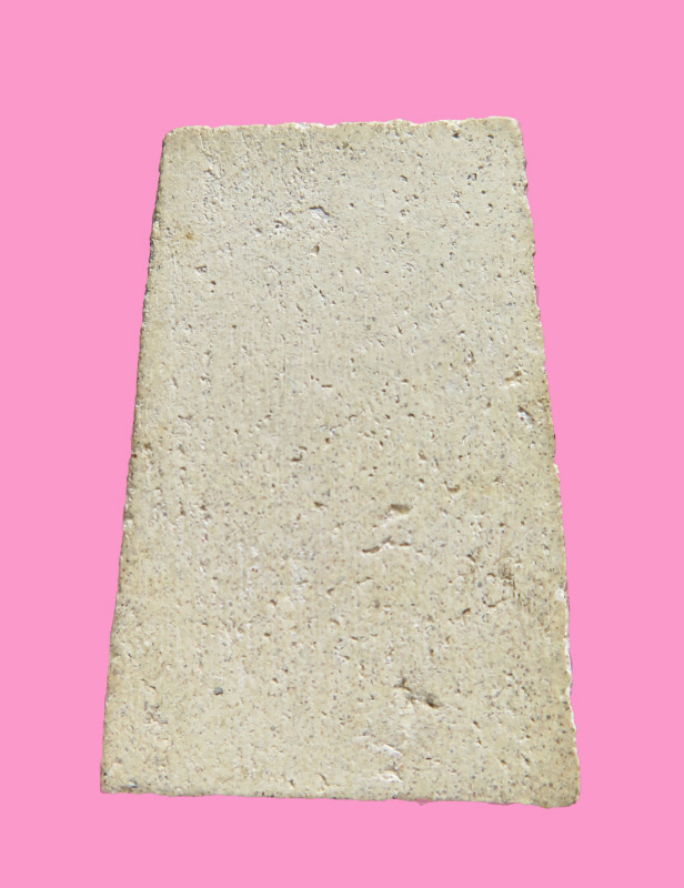 สมเด็จพระราชทานลูกเสือชาวบ้าน วัดระฆัง ปี 19