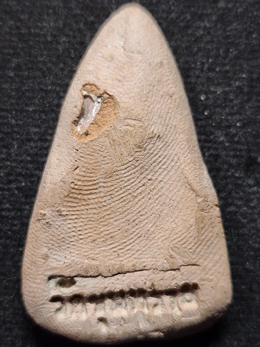 วัดขุนทราย ต.อุทัย อ.อุทัย จ.พระนครศรีอยุธยา พระท่ามะปราง