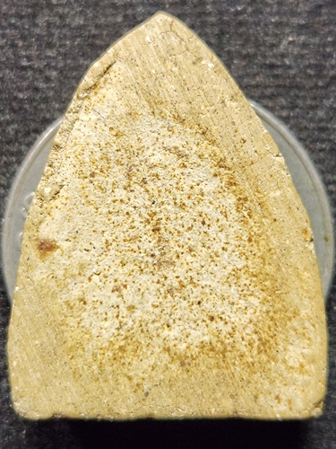 วัดขนอนเหนือ อยุธยา พระสังกัจจายน์ หลวงพ่อพรหม  ปี 2513 พิมพ์เล็ก