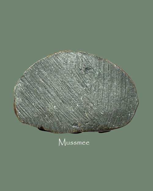 พระกริ่งปวเรศน้อย (วัดอาวุธ) (หายาก พบน้อยครับ ไม่ตอกโค้ท) สวยยยยยยยยยยย  U2