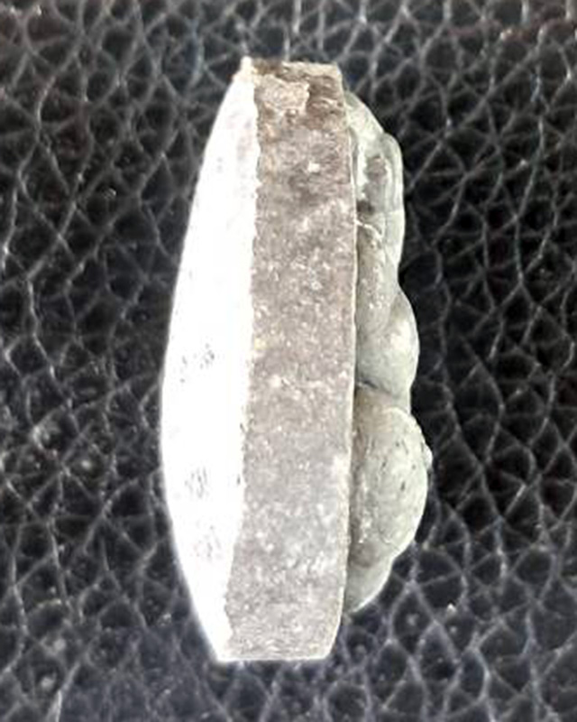 วัดโนนสว่าง ต.หมากหญ้า อ.หนองวัวซอ จ.อุดรฯ