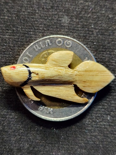 วัดโพธิ์ศรีเจริญ จ.สุพรรณบุรี ปลากัด หลวงพ่อน่วม ไม้พระเจ้า5พระองค์