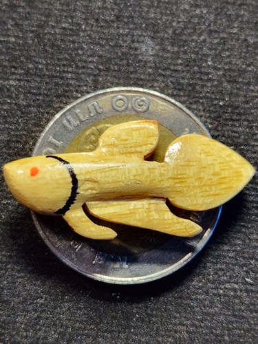 วัดโพธิ์ศรีเจริญ จ.สุพรรณบุรี ปลากัด หลวงพ่อน่วม ไม้พระเจ้า5พระองค์