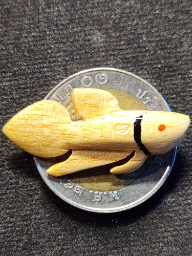 วัดโพธิ์ศรีเจริญ จ.สุพรรณบุรี ปลากัด หลวงพ่อน่วม ไม้พระเจ้า5พระองค์