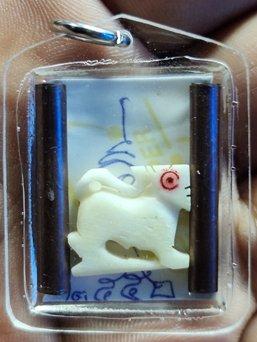 วัดหน้าต่างนอก อยุธยา รูปถ่าย  หลวงพ่อจง หลัง สิงห์งาแกะ ตะกรุด2ดอก  ปี2552