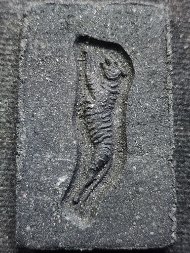 วัดใหม่หนองพะอง จ.สมุทรสาคร พระสมเด็จ หลวงพ่อทองอยู่  ฐาน 3 ชั้น  หลังเสือเผ่น เนื้อผงดำ