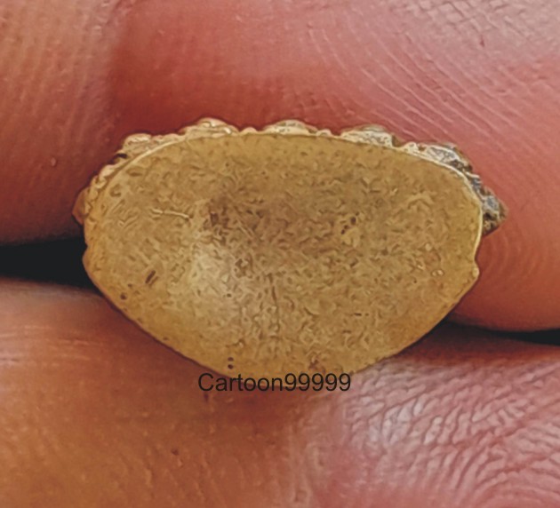 พระกริ่งบุญฤทธิ์ หลวงพ่อจำเนียร วัดเขาถ้ำเสือ กระบี่ เนื้อทองทิพย์ หายากครับ