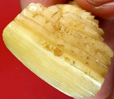 พระพุทธ ง.