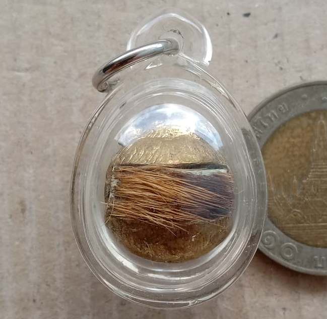 ลูกอมหนังเสือพยัคเมฆา รุ่นมหาเสน่ห์ ครูบากฤษณะ อินทวัณโณ สำนักสงฆ์เวฬุวัน นครราชสีมา ปี2548 เลี่ยมกั