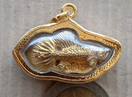 ปลากัดเรียกโชค เรียกลาภ หลวงพ่อน่วม วัดโพธิ์ศรีเจริญ จ.สุพรรณบุรี 