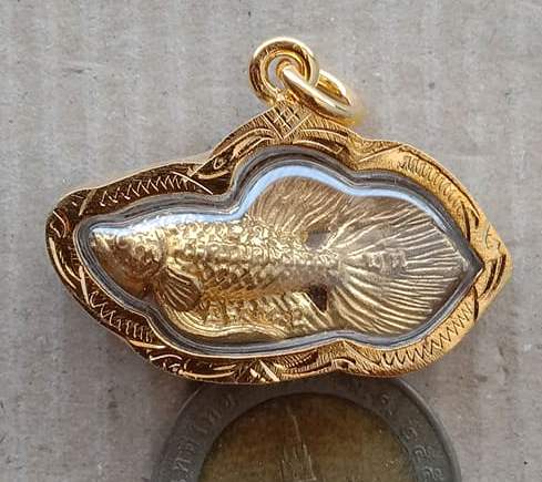 ปลากัดเรียกโชค เรียกลาภ หลวงพ่อน่วม วัดโพธิ์ศรีเจริญ จ.สุพรรณบุรี 