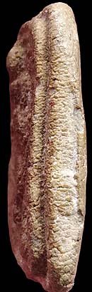 *พระผงกรุวัดคู้สลอด อยุธยา หลวงพ่อปาน วัดบางนมโค ปลุกเสก พิมพ์ทรงหนุมาน*