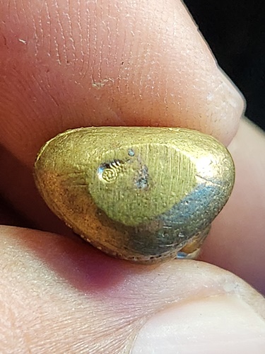 วัดบ้านแพน จ อยุธยา รูปหล่อก้นถ้วย หลวงพ่อพูน  ปี2556 มีโค้ด