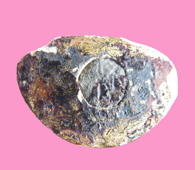 พระสังกัจจาย ลงรักปิดทอง ก้นอุดชันโรง เก่าครับ