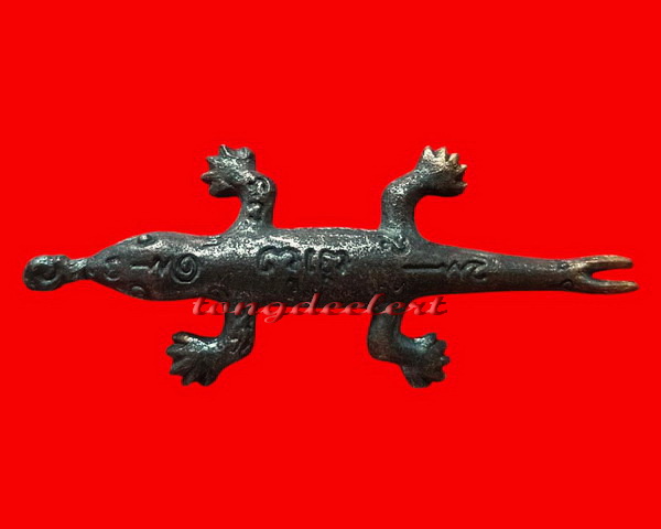 พญาจิ้งจกหลวงปู่หลิว ออกวัดหนองอ้อ สวยมากค่ะ