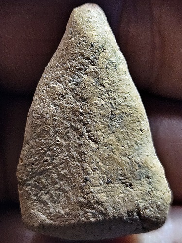 กรุเจดีย์กลางทุ่ง อยุธยา พระซุ้มทอง  เนื้อดิน 