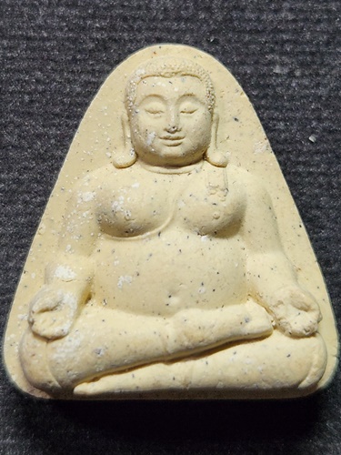 วัดหน้าพระเมรุราชิการาม อยุธยา พระผง พระภควาธนบดี 2555