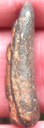 ปางยืนประทานพร เนื้อใบลาน