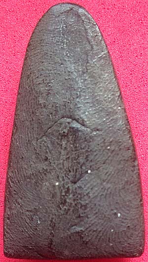 หลวงปู่ทวด เนื้อว่าน