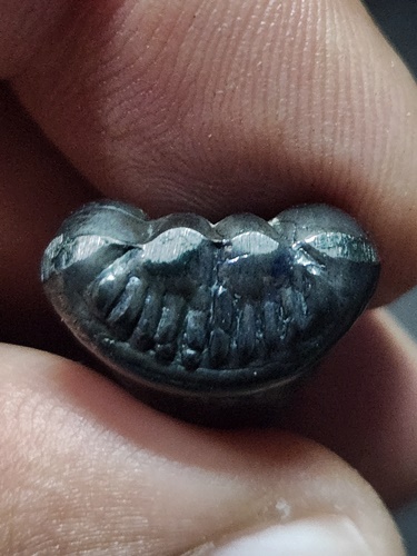 วัดหลุมดิน ราชบุรี พระปิดตาเมฆพัตร หลวงพ่อปล้อง รุ่น 2 อนุสรณ์ 109 ปี  2536 มีจาร 