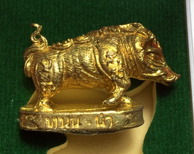 หมูมหามงคลคูณทอง หลวงพ่อคูณ วัดบ้านไร่ ปี2553 เนื้อทองทิพย์ ใต้ฐานอุดผงจีวรเกศา+ตะกรุด เลข6484+กล่อง