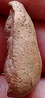 *นางกำแพง เม็ดบัว เนื้อดิน กำแพงเพชร*