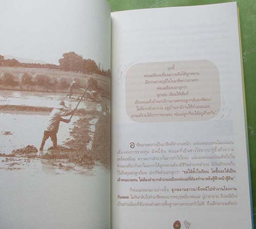 หนังสือขุดทองบนดินพลิกวิกฤติด้วยเกษตร