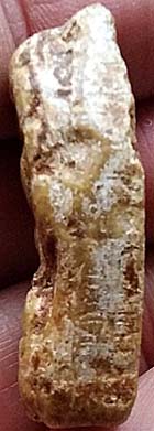 *นาคปรก เนื้อผง หลวงปู่จันทร์ วัดนางหนู ลพบุรี ปี๒๔๙๔*