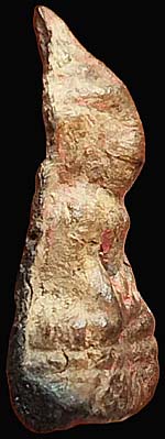 *พระกรุวัดตะไกร อยุธยา เนื้อว่าน*