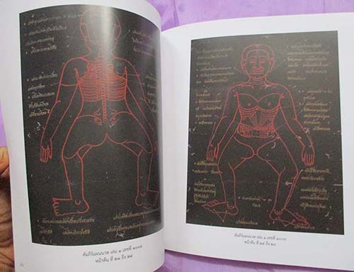  	 หนังสือ นวดไทย