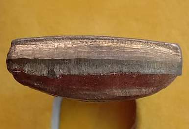 รูปเหมือนปั๊มรุ่นแรก สังฆาฏิปัด หลวงพ่อพิน วัดคลองหวายโป่ง จ.ระยอง ปี2553  หมายเลข499+กล่อง