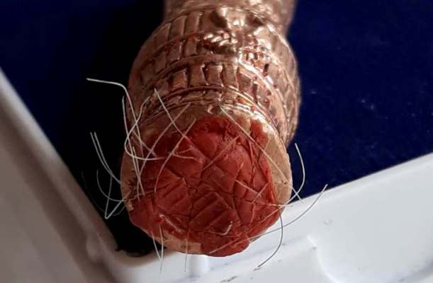 ตะกรุดไซดูดทรัพย์ รุ่นโคตรรวย หลวงพ่อปุ่น วัดป่าบ้านสังข์ จ ร้อยเอ็ด พร้อมกล่องเดิม