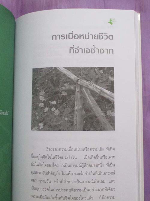  หนังสือ วิธีชนะทุกข์เพื่อสร้างสุขให้ตนเอง