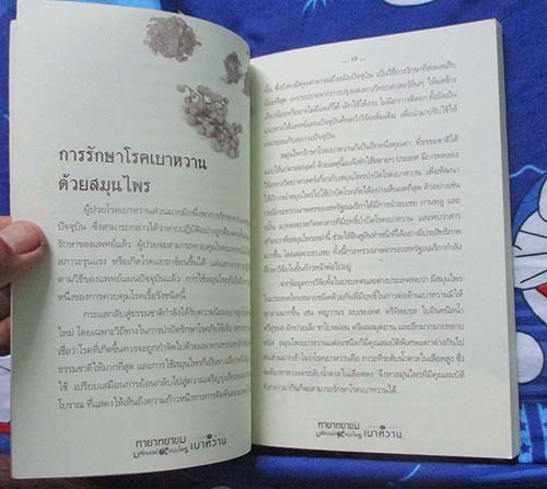 หนังสือ ทายาทยาขมมหัศจรรย์9สมุนไพรขจัดเบาหวาน