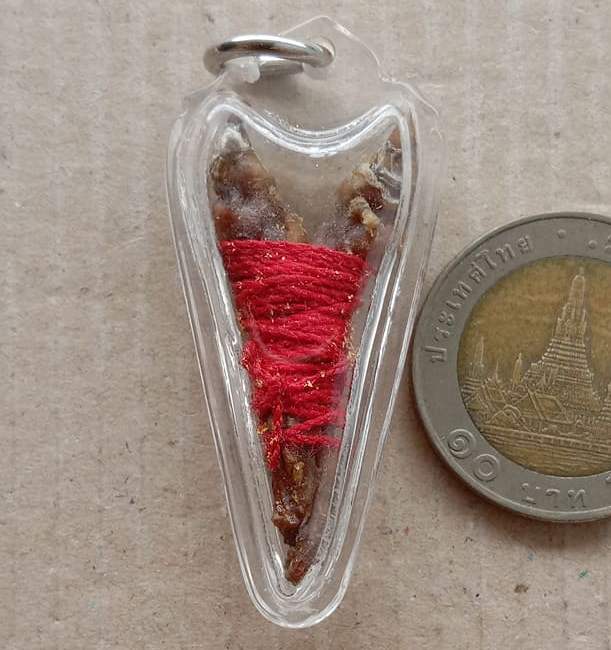 เดือยงูเหลือม..ของดีทางธรรมชาติ เลี่ยมกันน้ำพร้อมใช้ ตามรูป