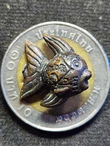  วัดพระขาว จ.อยุธยา ปลาตะเพียนปุ้มปุ้ย หลวงพ่อทิม ปี 2552 เนื้อทองเหลือง