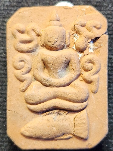 วัดบางนมโค อยุธยา  พระพุทธทรงปลา รุ่นสร้างมณฑป ปี2545