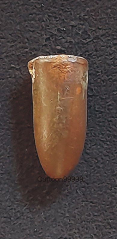 ตะกรุดลูกปืน หลวงพ่อกวย วัดโฆสิตาราม ชัยนาทครับผม