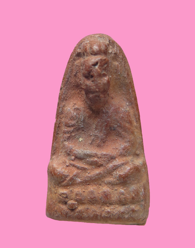 เซียนแปะโค้ว หัวตะเข้ เนื้อดิน