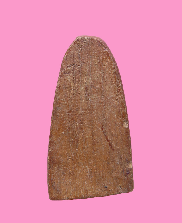 เซียนแปะโค้ว หัวตะเข้ เนื้อดิน