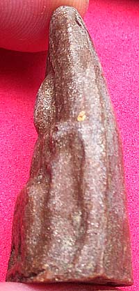 *พิมพ์พระเลี่ยงลำพูน หลวงปู่ธูป วัดแคนางเลิ้ง กทม. ปี๒๕๐๔ เนื้อผงน้ำมัน*