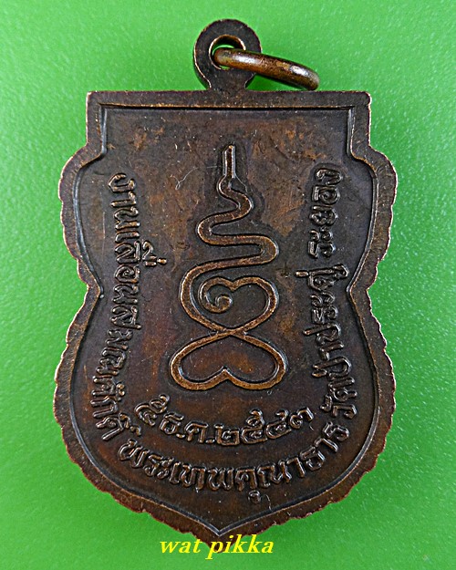 เหรียญเลื่อนสมณศักดิ์หลวงพ่ออภัย วัดป่าประดู่ ระยอง .4133.*