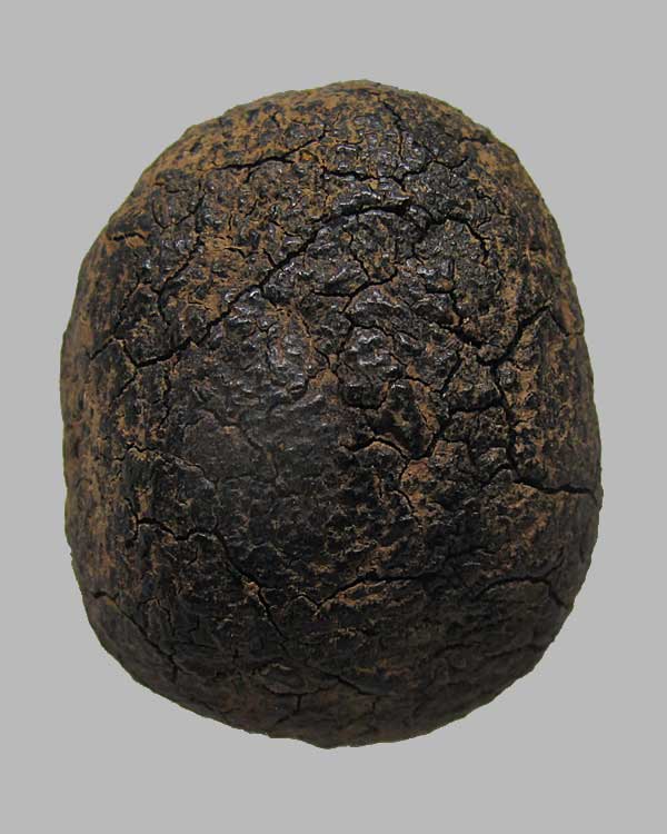 พระปิดตาหลวงพ่อบ๊วย วัดท่าลาด จ.ฉะเชิงเทรา