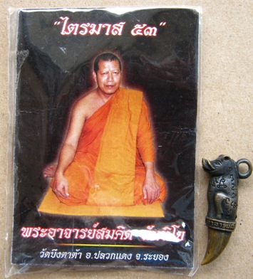 หมูทองแดง เขี้ยวทอง รุ่นไตรมาส53 พระอาจารย์สมคิด วัดบึงตาต้า อ.ปลวกแดง จ.ระยอง ปี2553+ซองเดิม