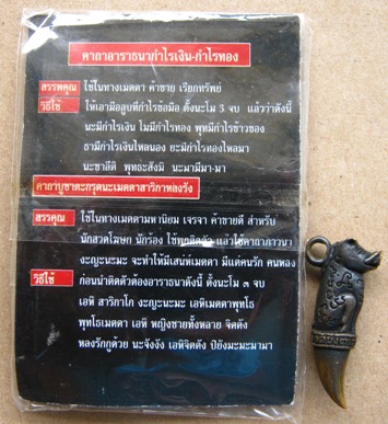 หมูทองแดง เขี้ยวทอง รุ่นไตรมาส53 พระอาจารย์สมคิด วัดบึงตาต้า อ.ปลวกแดง จ.ระยอง ปี2553+ซองเดิม
