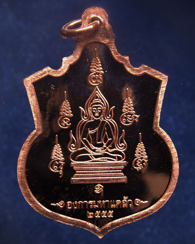 6.ชุดเหรียญ 2 มหาราช หลังยันต์องการมหาอุทัยใหญ่-มหาดำ-มหาแคล้ว สมทบทุนสร้าง ร.พ. 84 พรรษามหาราช พ.ศ.