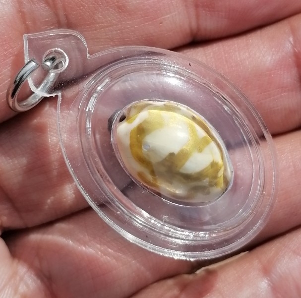 เบี้ยแก้ภควจั่น​ หลวงปู่หงษ์​ พรหมปัญโญ​ สุสานทุ่งมน​ จ.สุรินทร์​​ เลี่ยมพร้อมใช้​ เคาะเดียว   