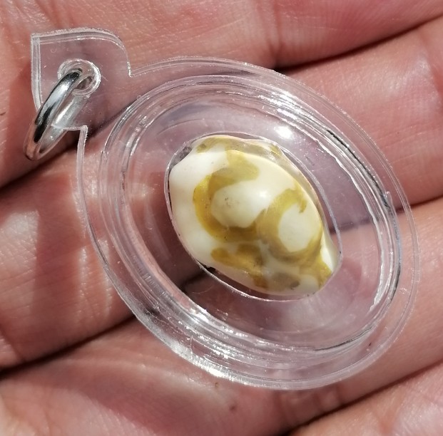 เบี้ยแก้ภควจั่น​ หลวงปู่หงษ์​ พรหมปัญโญ​ สุสานทุ่งมน​ จ.สุรินทร์​​ เลี่ยมพร้อมใช้​ เคาะเดียว   