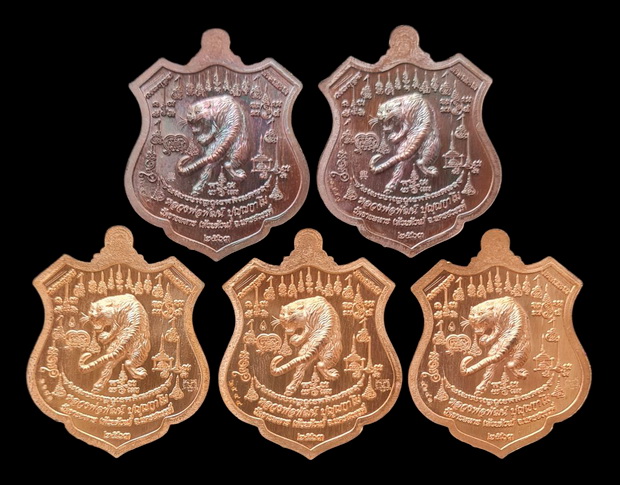 เคาะแรกแดง..พยัคฆ์เจ้าพระยา ๒๕๖๓..รวม ๕ เหรียญ รายละเอียดในโพสต์..ล.พ.พัฒน์ วัดห้วยด้วน จ.นครสวรรค์